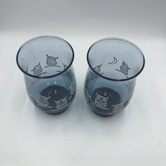 Vintage Set of 2 Blue Owl Drinking Glasses Tumblers Weighted Bottom - Picture 5 of 12